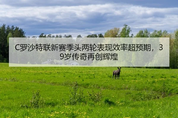 luo-sha-te-lian-xin-sai-ji-tou-liang-lun-biao-xian-xiao-lv-chao-yu-qi-sui-chuan-qi-zai-chuang-hui-huang-1-742.jpg