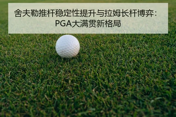 she-fu-lei-tui-gan-wen-ding-xing-ti-sheng-yu-la-mu-zhang-gan-bo-yi-da-man-guan-xin-ge-ju-2-130.jpg