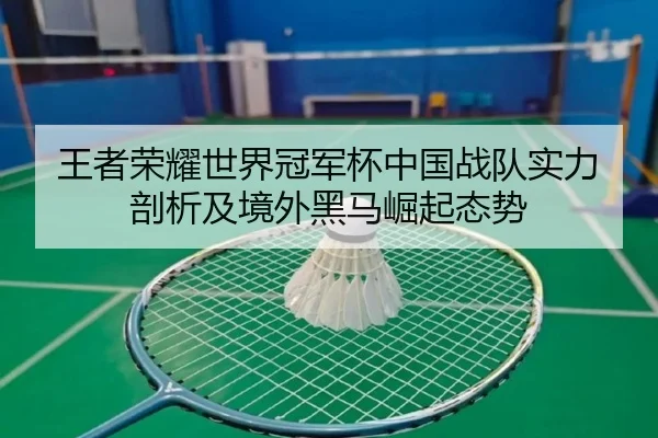 王者荣耀世界冠军杯中国战队实力剖析及境外黑马崛起态势