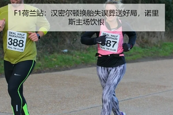 F1荷兰站：汉密尔顿换胎失误葬送好局，诺里斯主场饮恨