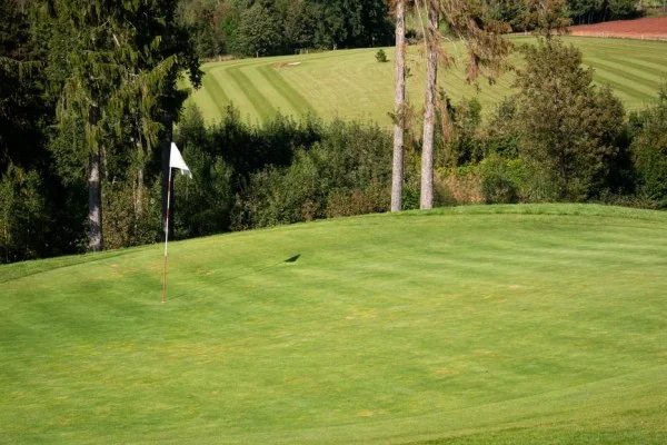 golf course green